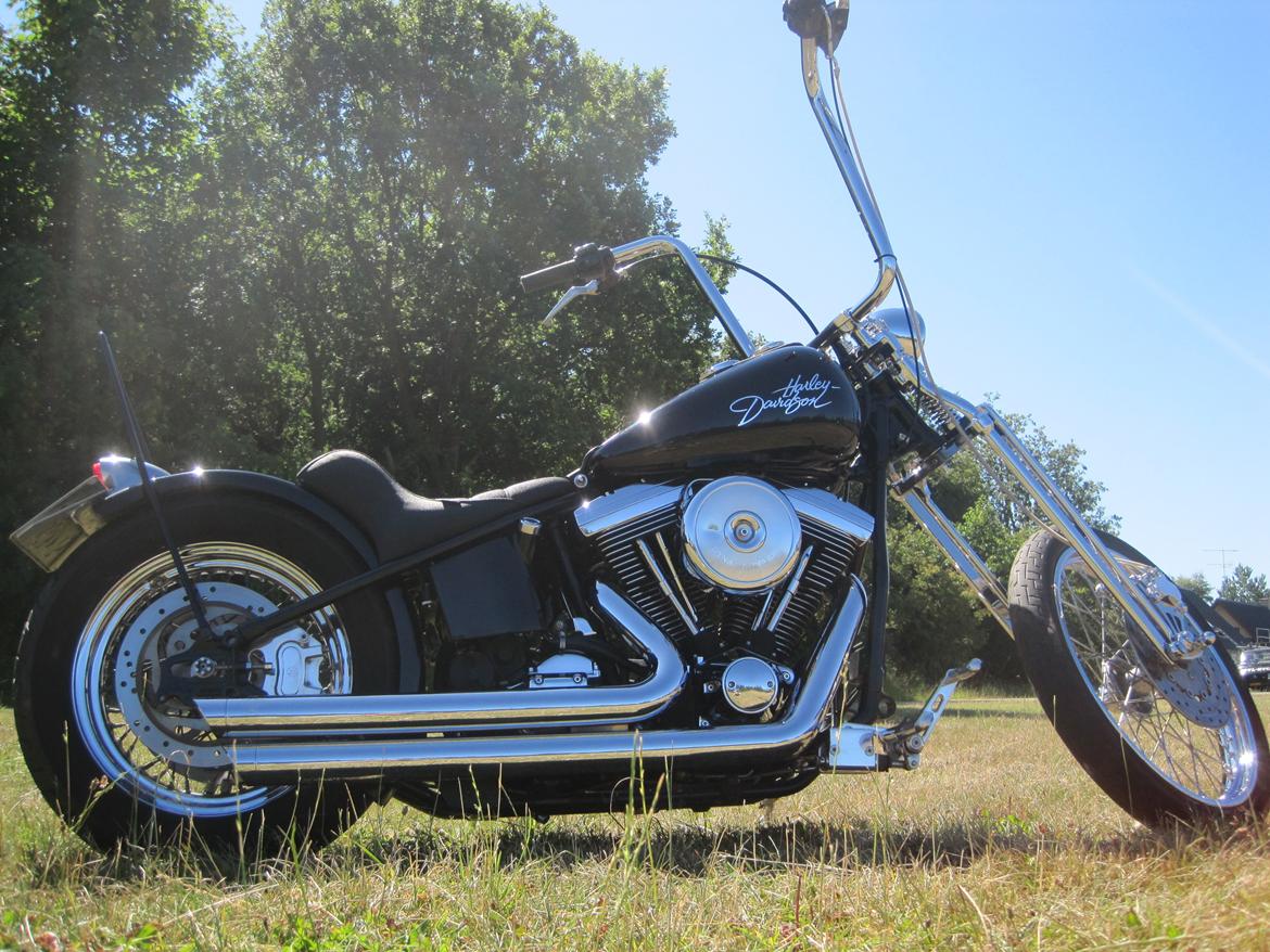 Harley Davidson stivstellet billede 1