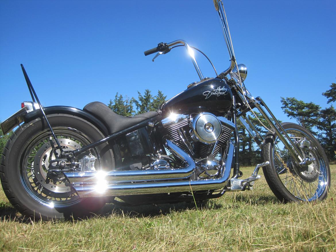 Harley Davidson stivstellet billede 12