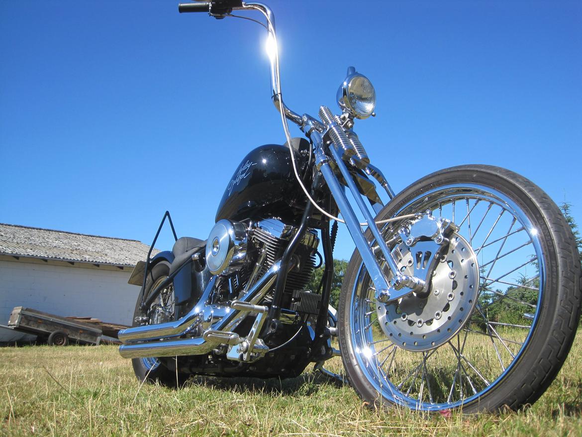 Harley Davidson stivstellet billede 14