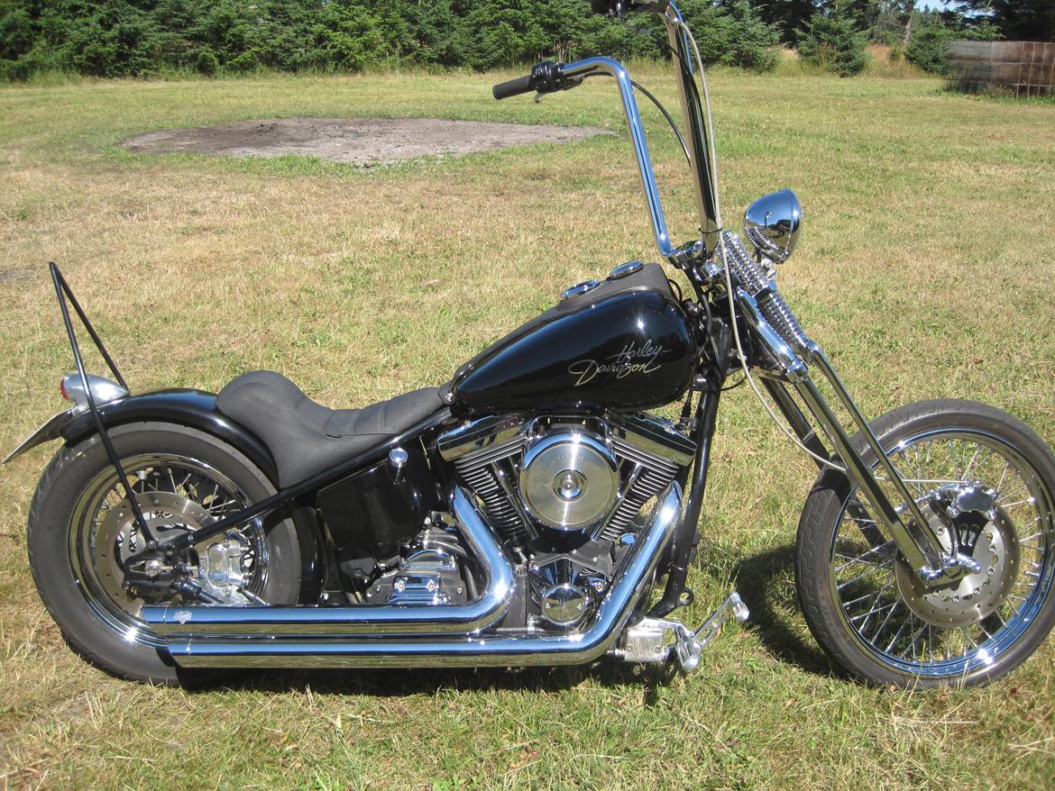 Harley Davidson stivstellet billede 15