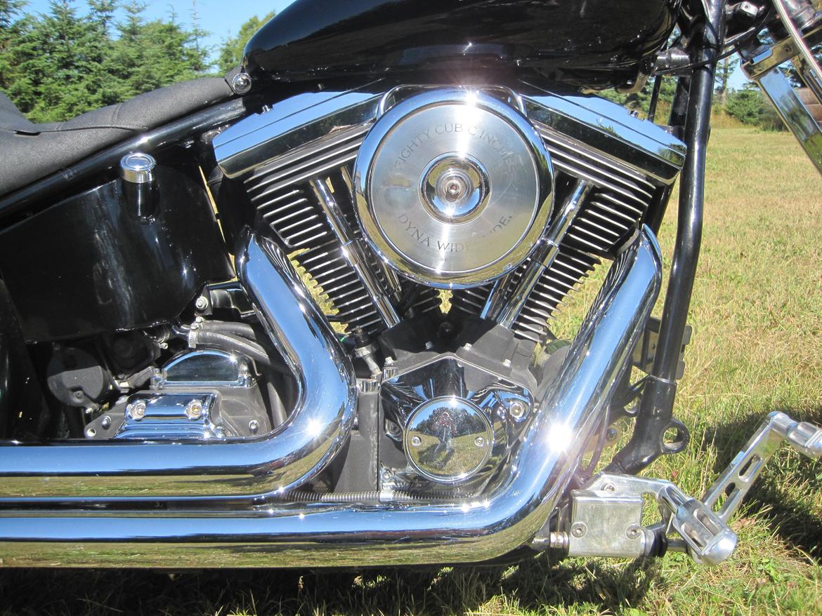 Harley Davidson stivstellet billede 16