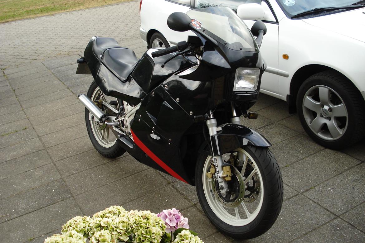 Suzuki Rg 250 mk3 (solgt) billede 1