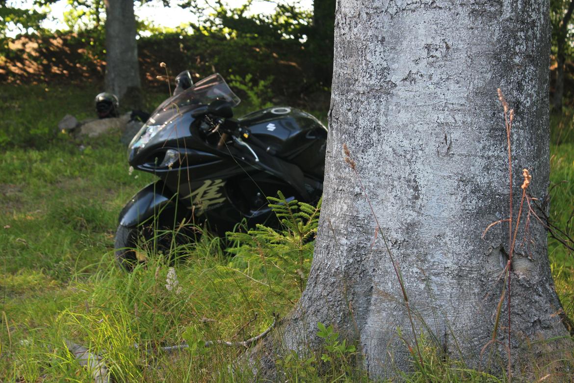 Suzuki Hayabusa billede 9