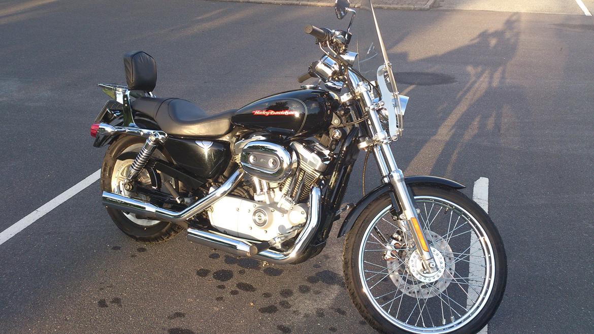 Harley Davidson Sportster 883 XL Custom * solgt * billede 1