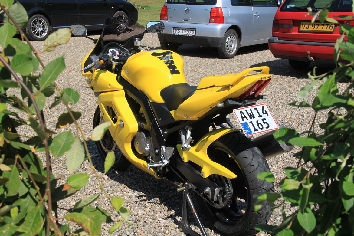 Suzuki SV 650s k5 billede 10