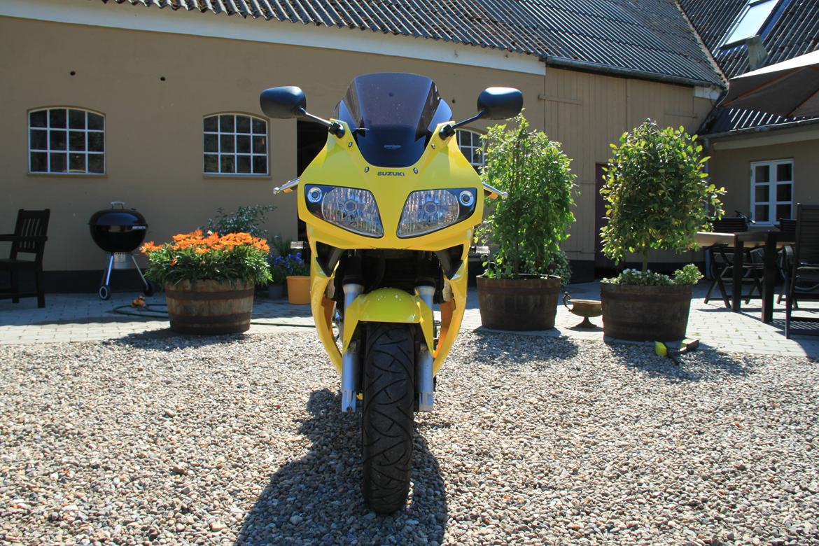 Suzuki SV 650s k5 billede 15