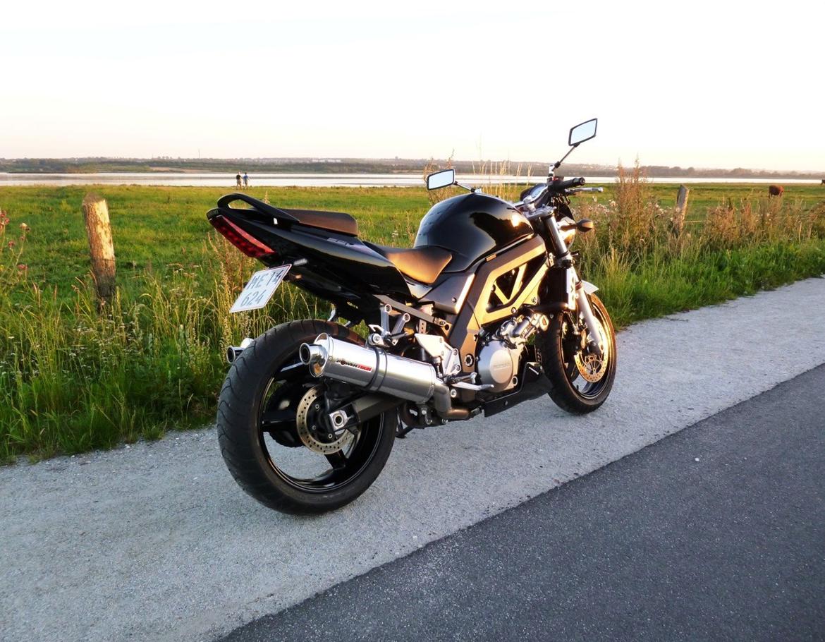Suzuki SV1000 billede 3