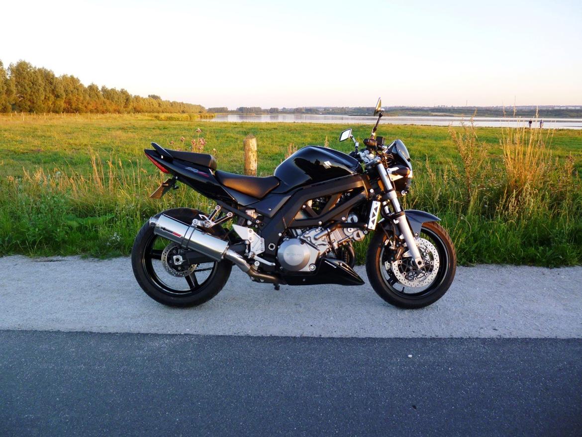 Suzuki SV1000 billede 2
