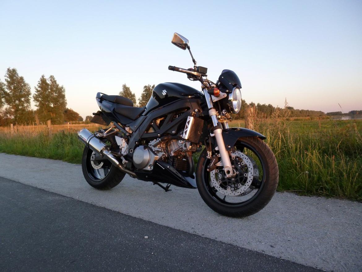 Suzuki SV1000 billede 4