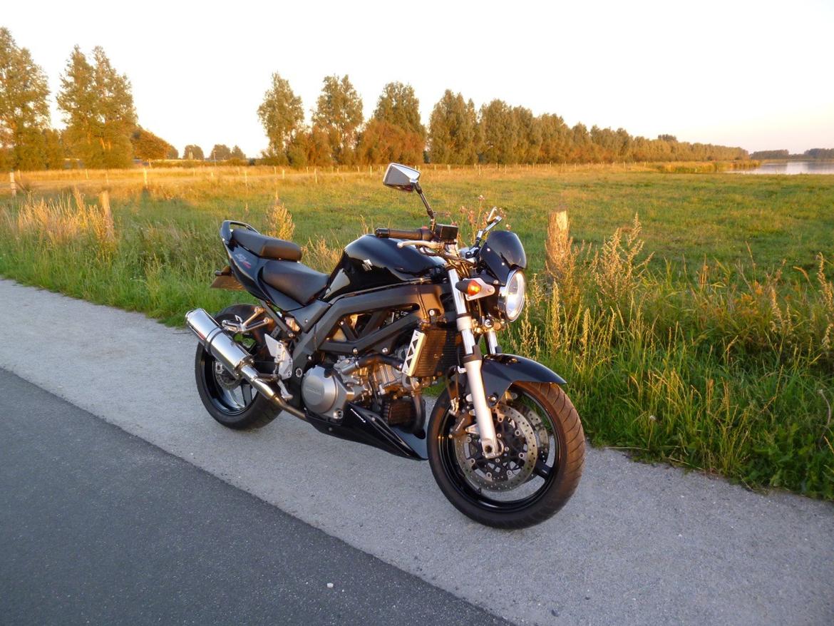 Suzuki SV1000 billede 1
