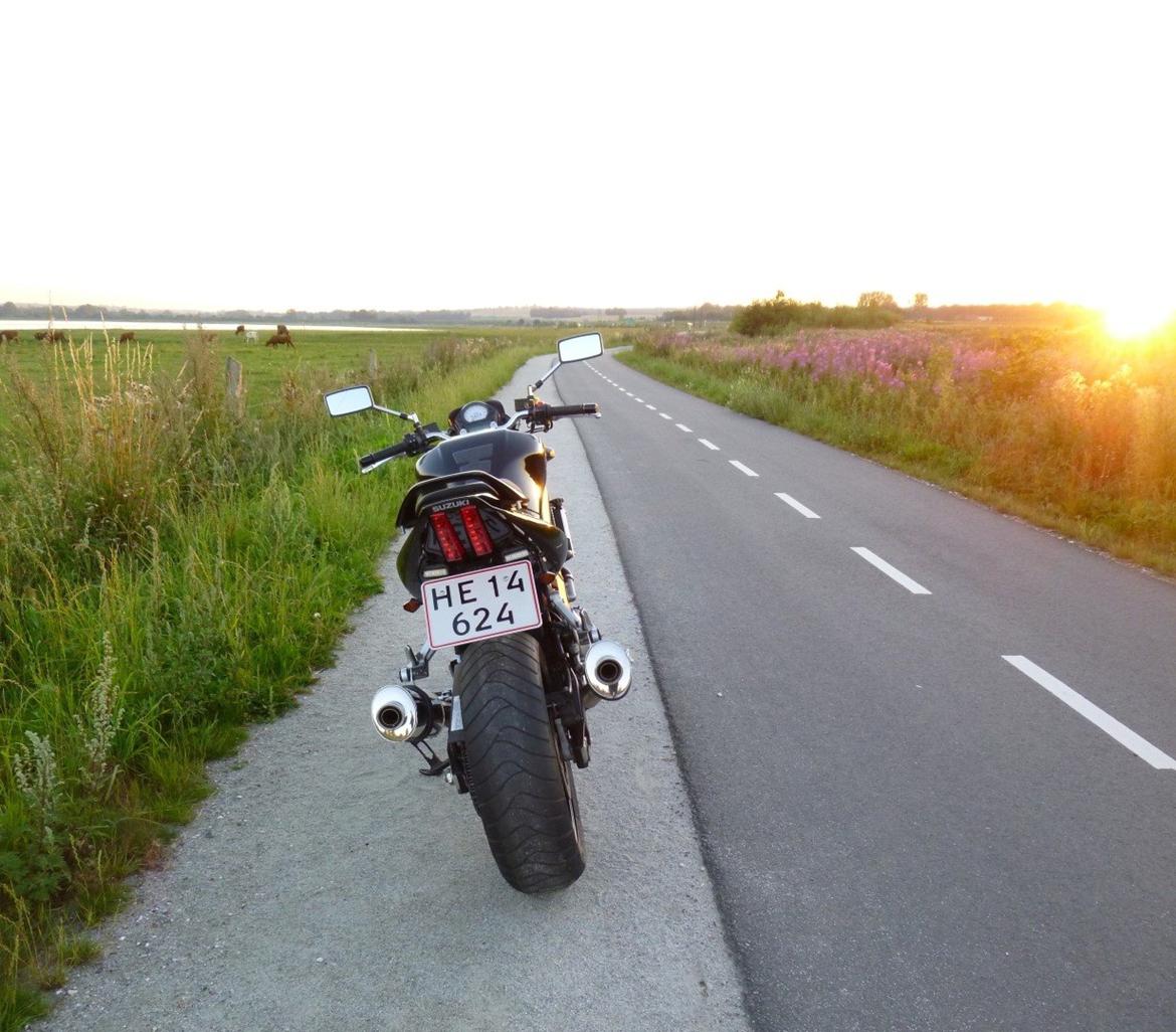 Suzuki SV1000 billede 5