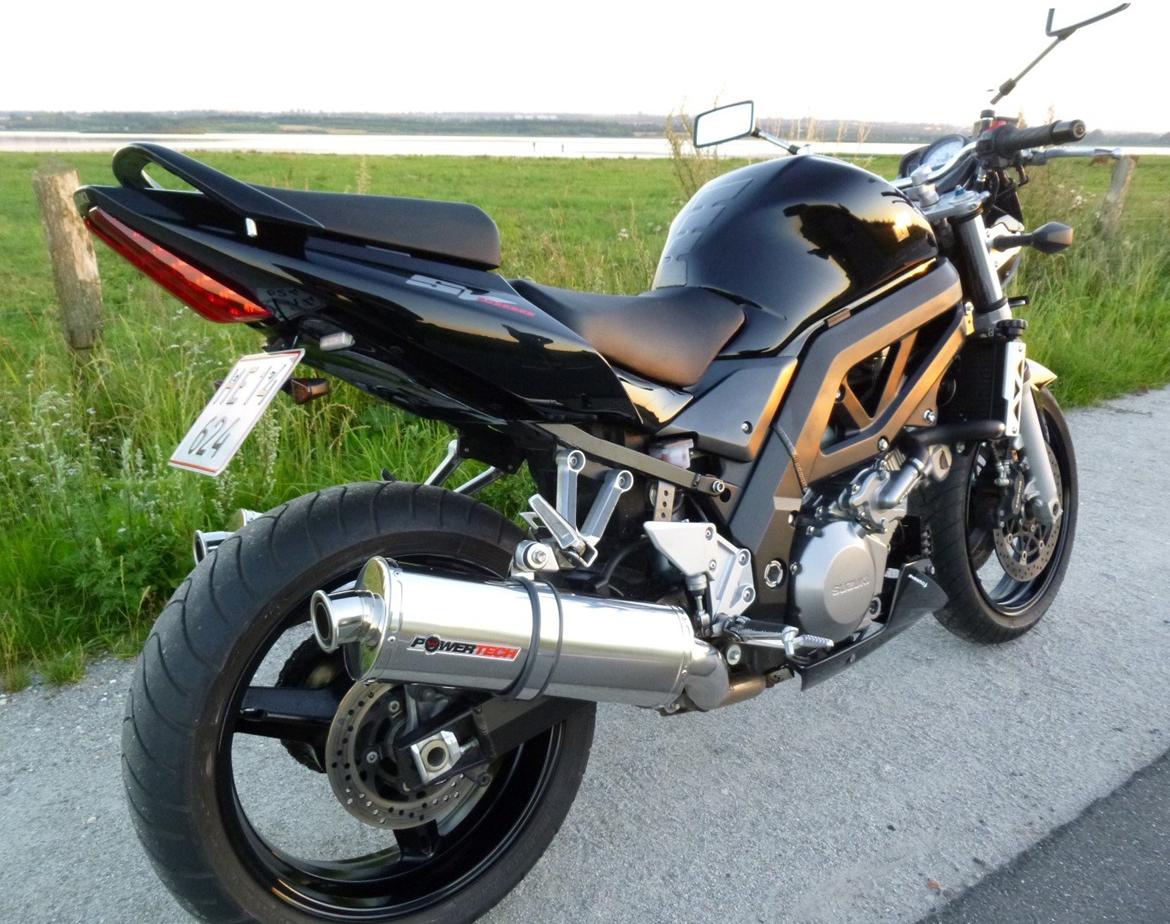 Suzuki SV1000 billede 7