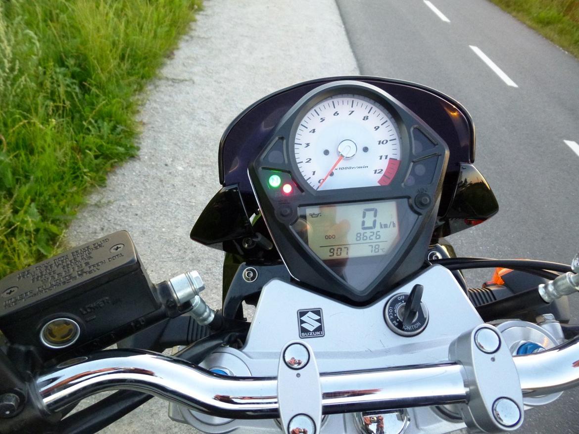 Suzuki SV1000 billede 8