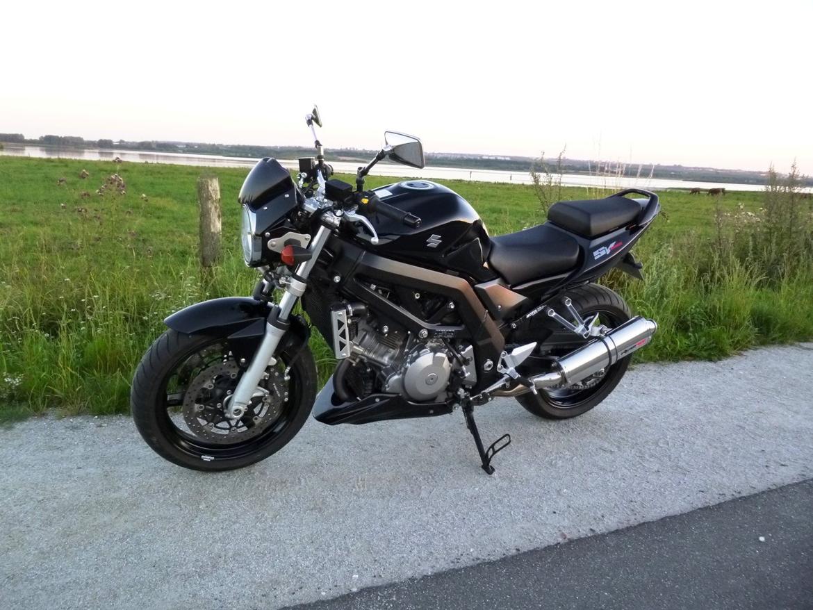 Suzuki SV1000 billede 9