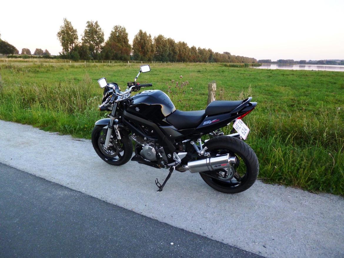 Suzuki SV1000 billede 10