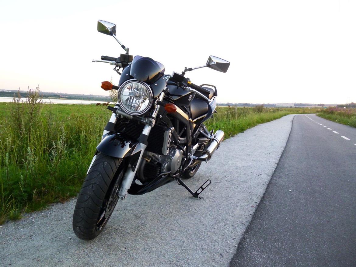 Suzuki SV1000 billede 11