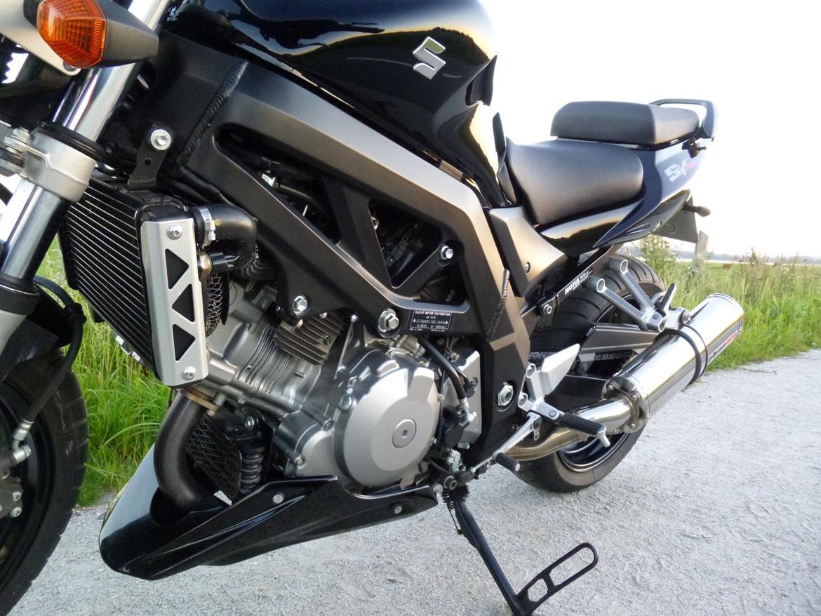 Suzuki SV1000 billede 12