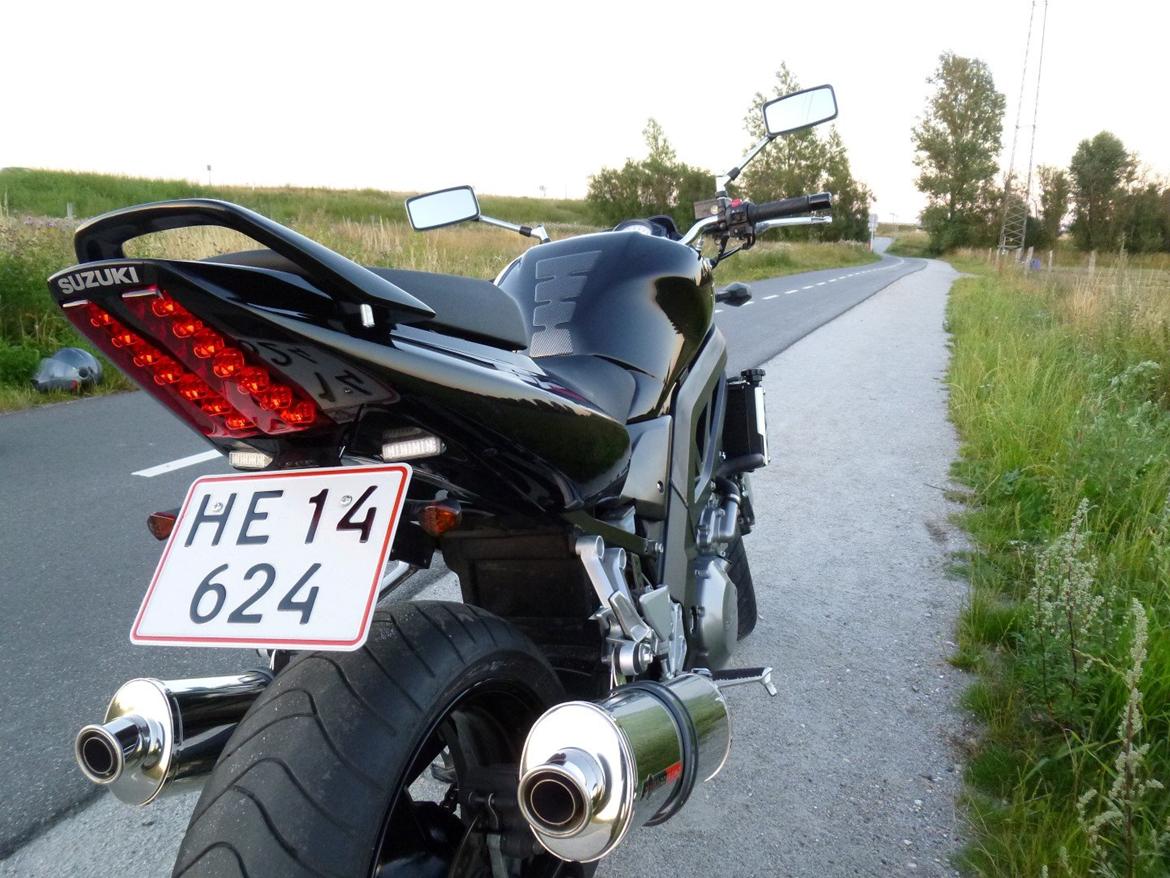 Suzuki SV1000 billede 14