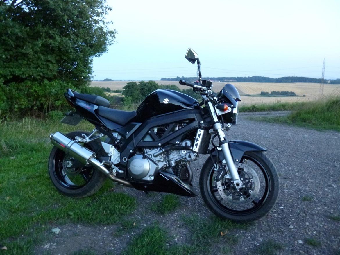 Suzuki SV1000 billede 18