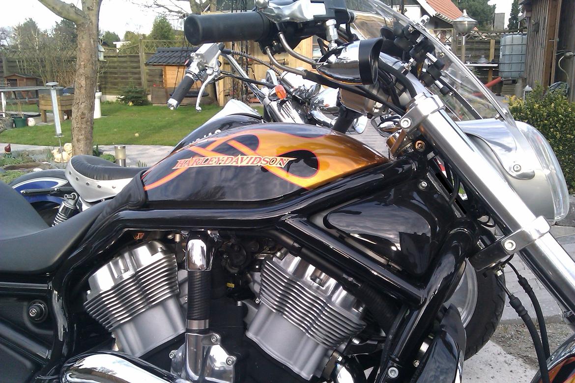 Harley Davidson sport Touring VRSCB billede 20