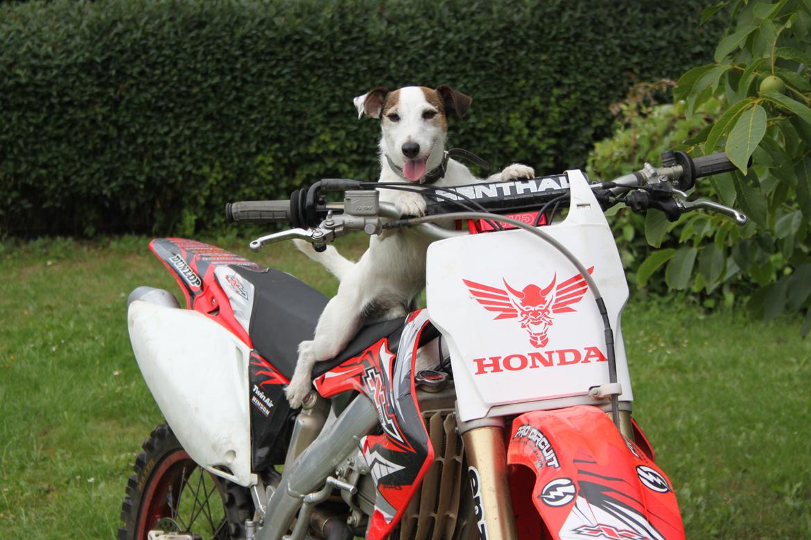 Honda CRF450R billede 7