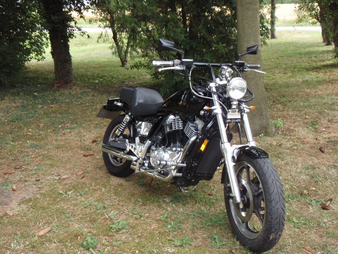 Honda VT 1100 SHADOW - Ny malet :-) billede 1