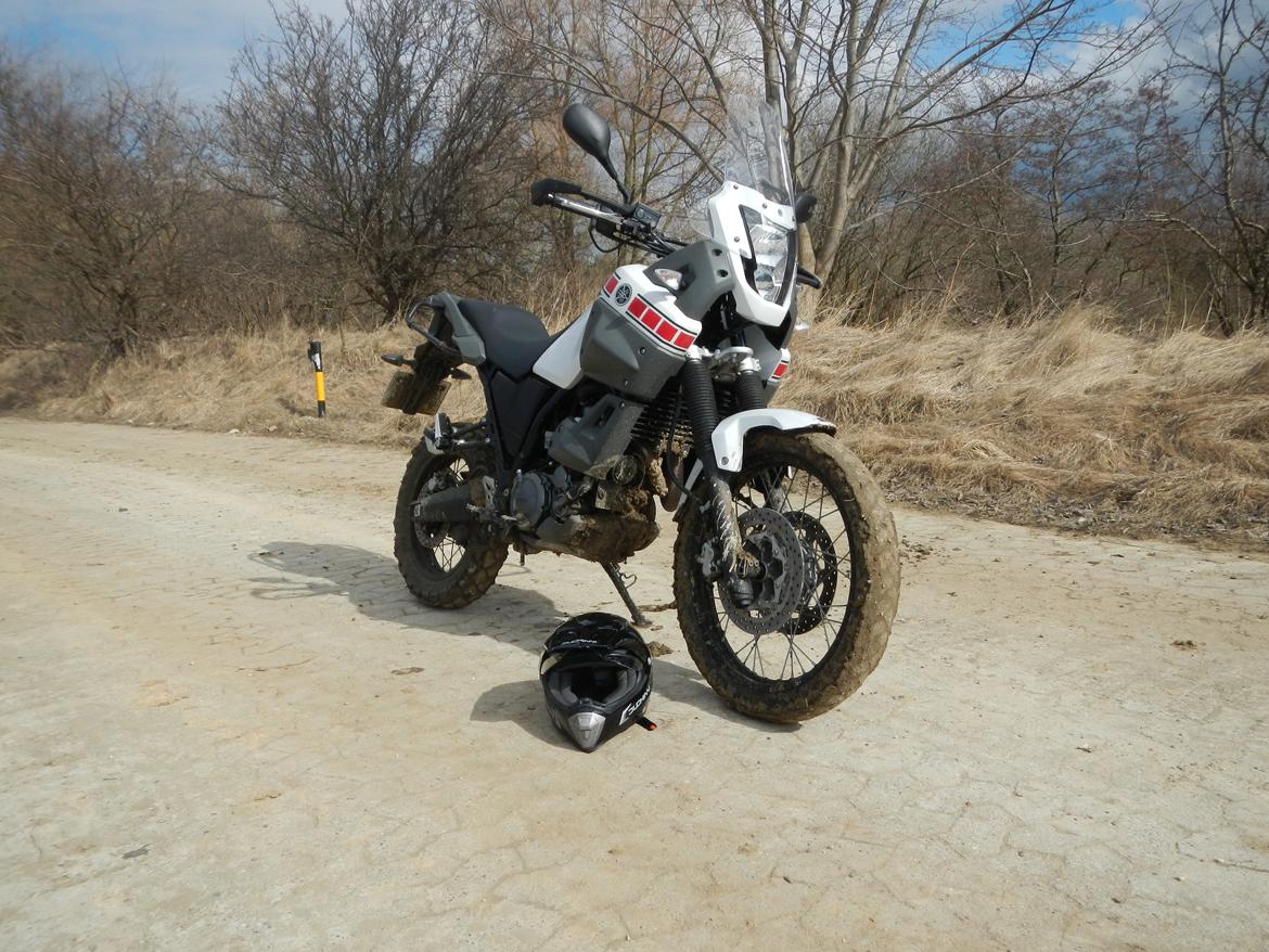 Yamaha XT 660 Z Tenere billede 2