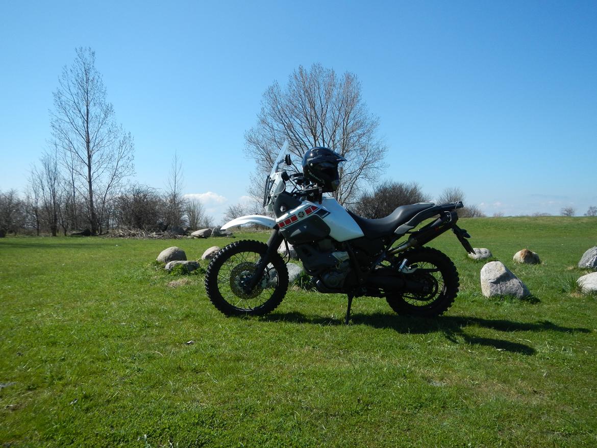 Yamaha XT 660 Z Tenere billede 5