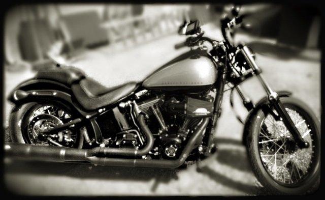 Harley Davidson Blackline billede 5