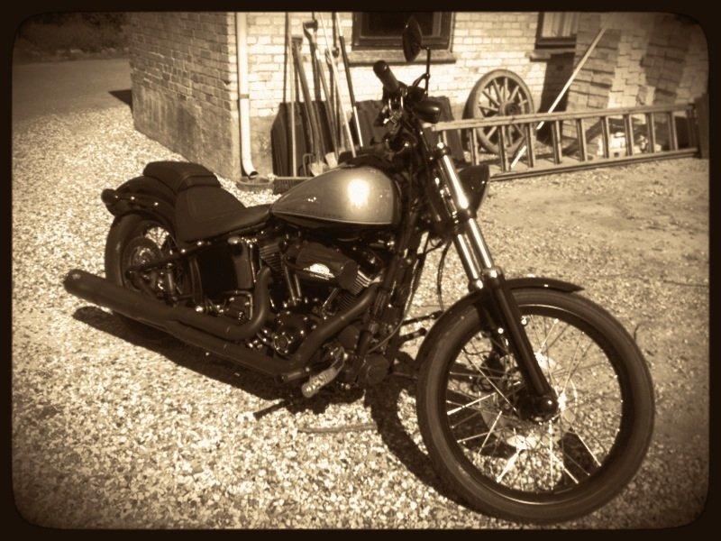 Harley Davidson Blackline billede 6