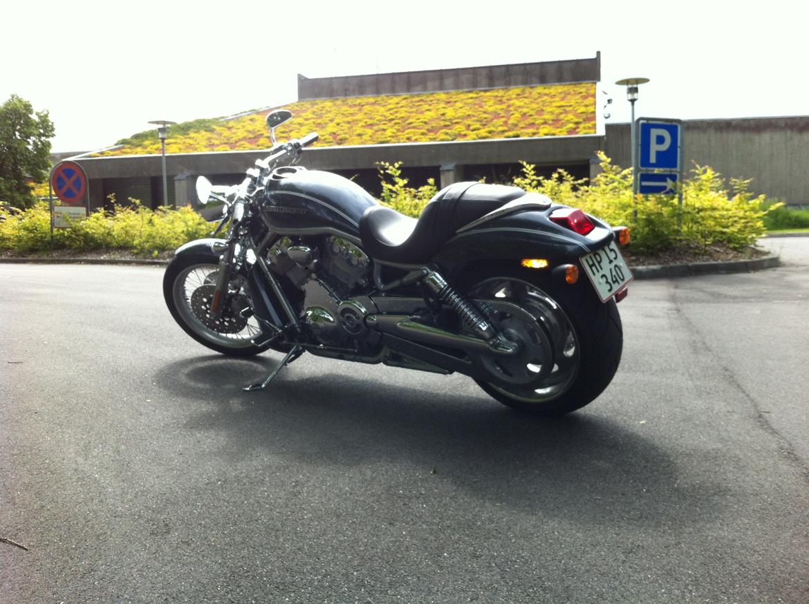 Harley Davidson V-ROD - Elsker V-rod'ens linjer efter ombygningen. Før sad instrumenterne og flagrede højt over forlygten, og styret ligeledes meget højt (og bukket), så de lange linjer blev ødelagt. billede 16