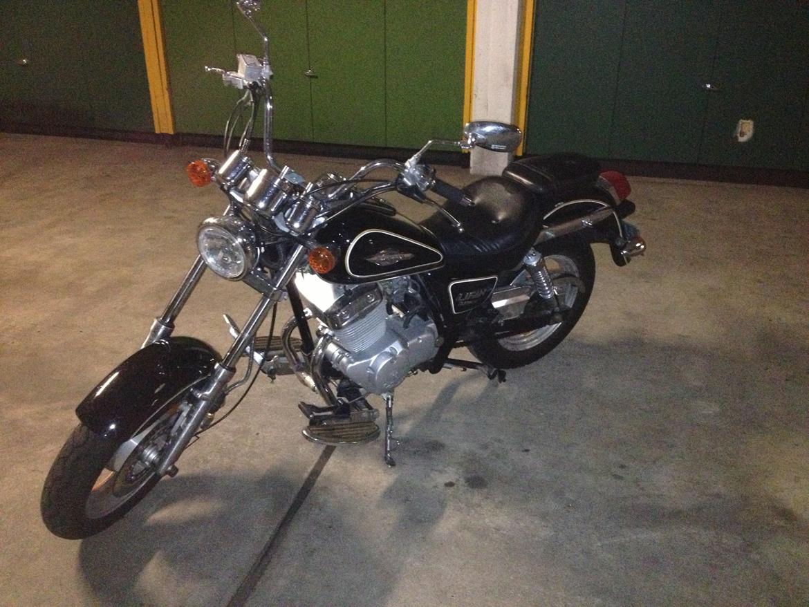 Lifan 250-4 - 15/8-13  hentet  fra sønderjylland ( købt) billede 21