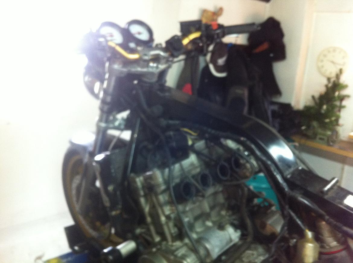 Honda CB 600 Hornet billede 6