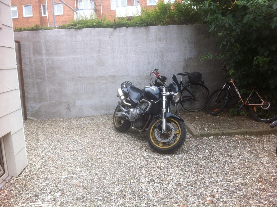 Honda CB 600 Hornet - Juli '13 billede 2