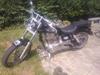 Suzuki ls 650