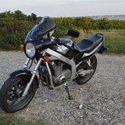 Suzuki GS 500 E !SOLGT!