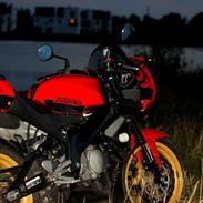 Aprilia RS125 Tuono