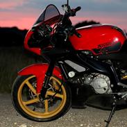 Aprilia RS125 Tuono