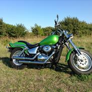 Suzuki VZ800 - RUIDO PESADO