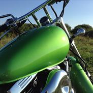 Suzuki VZ800 - RUIDO PESADO