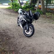 Honda Cbr 600 rr