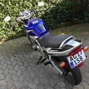 Suzuki GS500 E