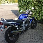 Suzuki GS500 E