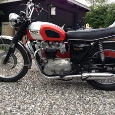 Triumph Bonneville