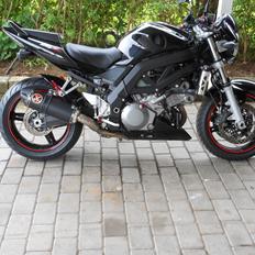 Suzuki SV 1000NK7