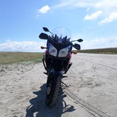 Suzuki DL 650 V-Strom