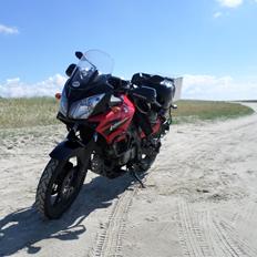 Suzuki DL 650 V-Strom