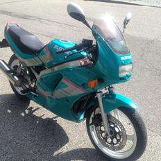 Suzuki GS500E
