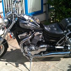 Suzuki Intruder 1400 vs  ( VX 51 L )