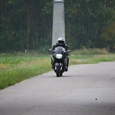 Honda cbr1100xx Blackbird